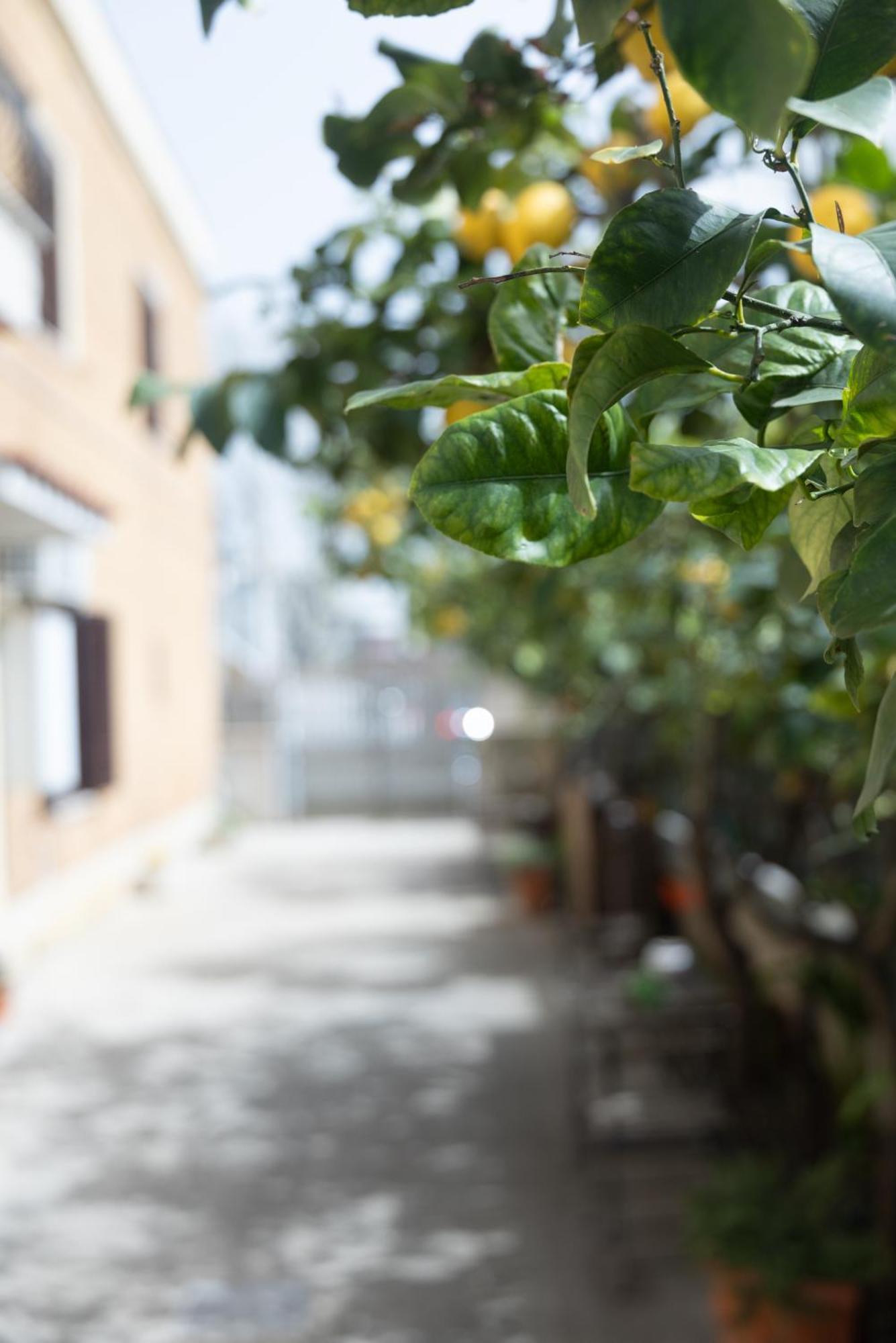 Casa Vacanze Alla Maison Fiumicino Buitenkant foto