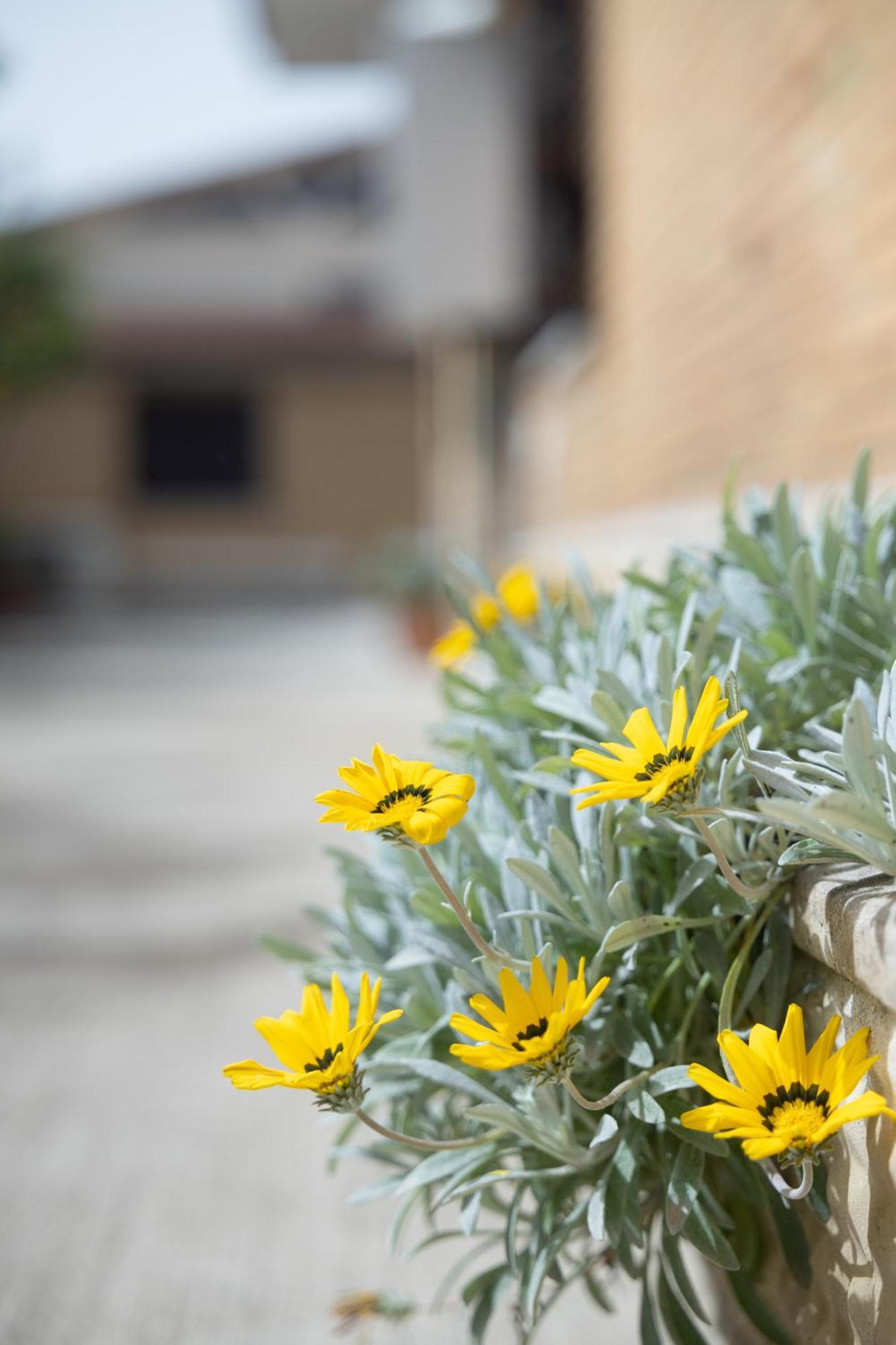 Casa Vacanze Alla Maison Fiumicino Buitenkant foto